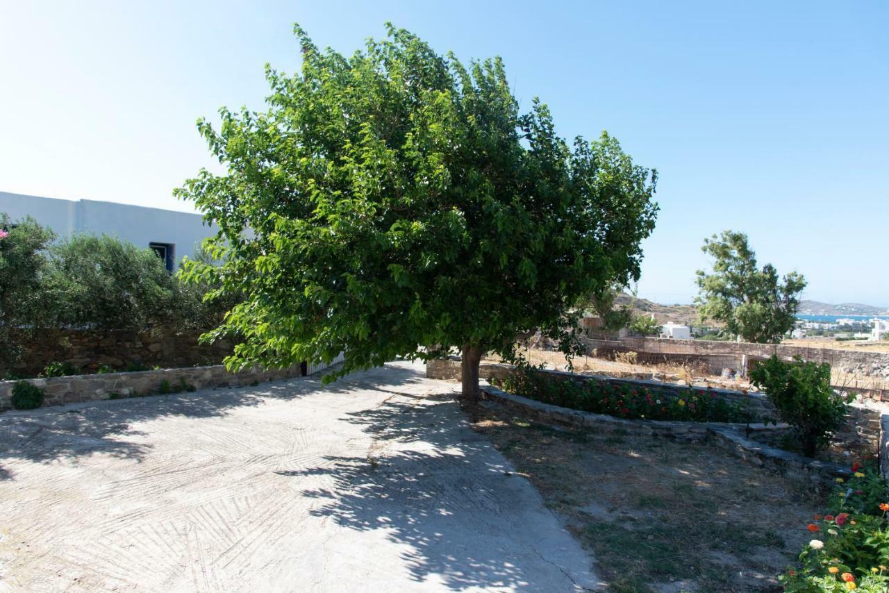 Parasporos Villa Tonia المظهر الخارجي الصورة