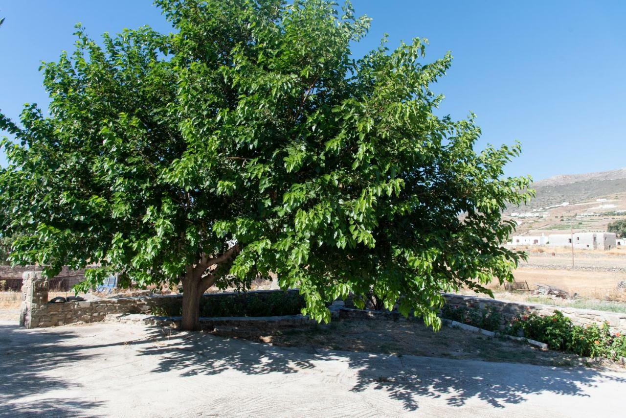 Parasporos Villa Tonia المظهر الخارجي الصورة